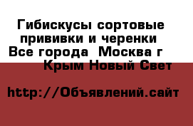 Гибискусы сортовые, прививки и черенки - Все города, Москва г.  »    . Крым,Новый Свет